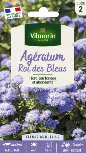 Agératum Roi des Bleus